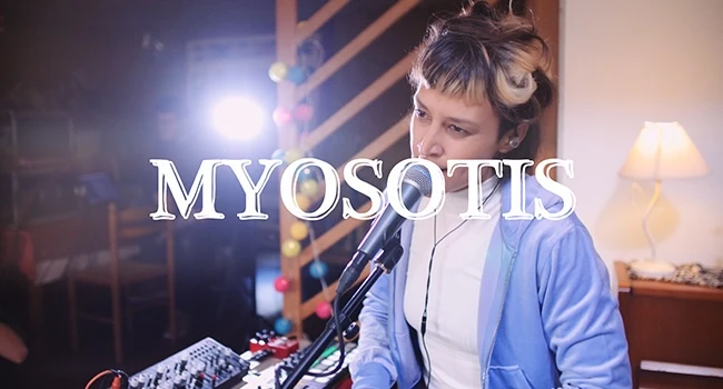 Myosotis
